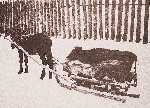fotografia Wileńszczyzny